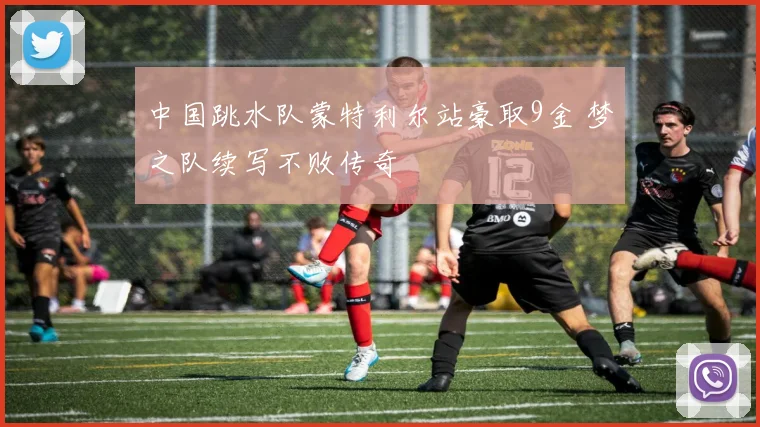 中国跳水队蒙特利尔站豪取9金 梦之队续写不败传奇